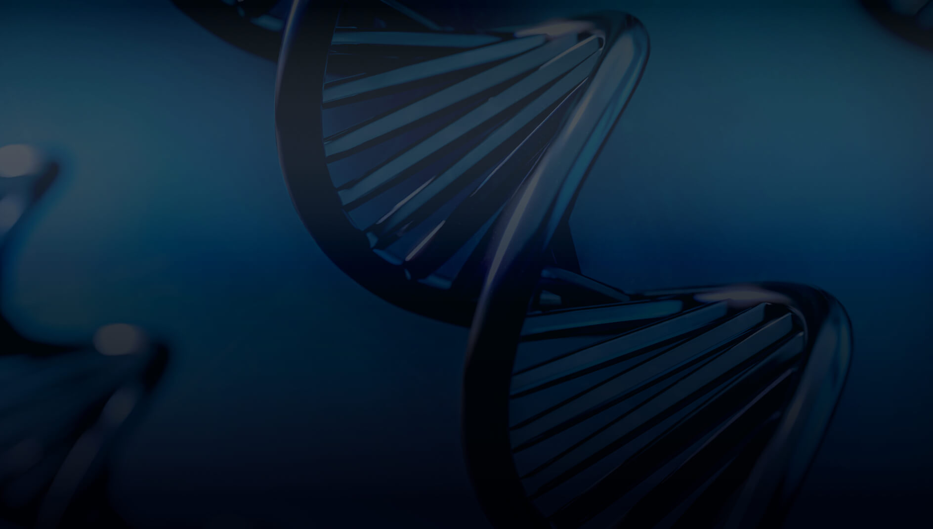 3d-representation-dna